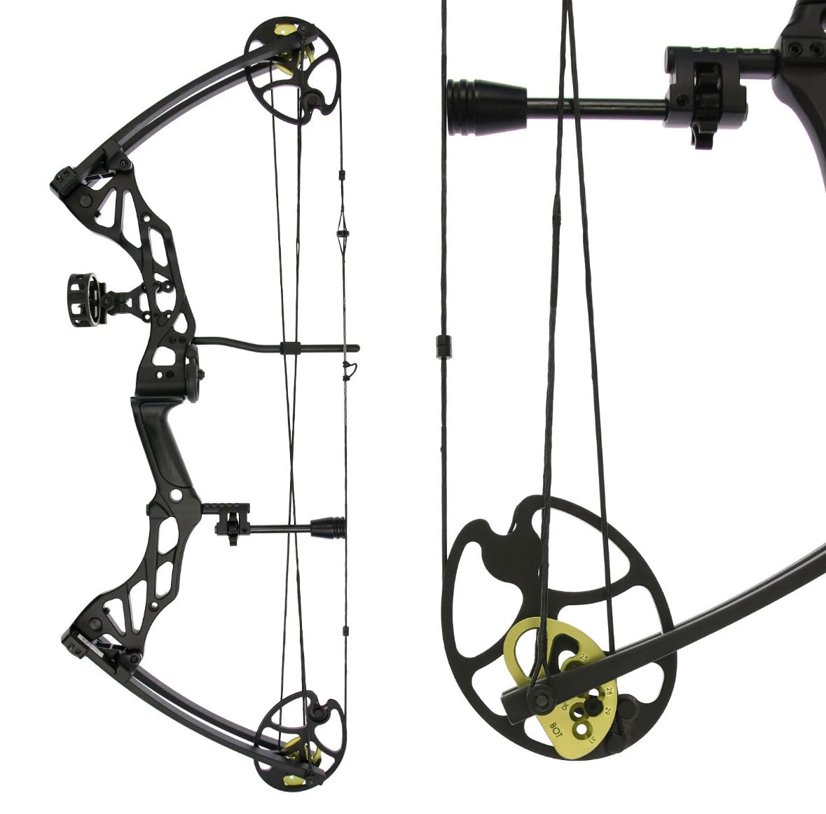 ARCO COMPOUND FOSSIL