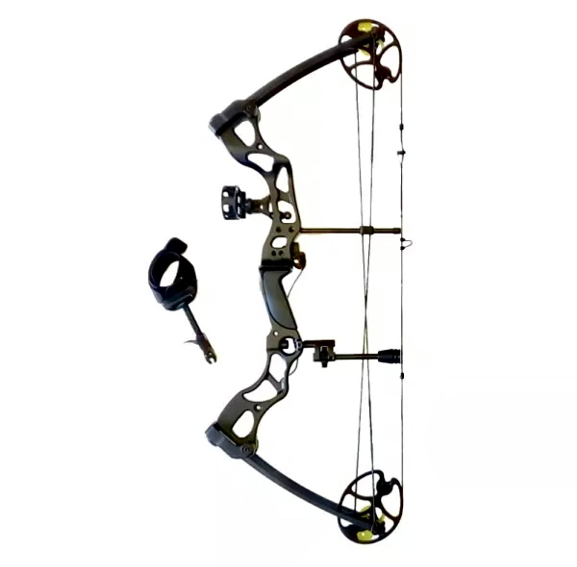 ARCO COMPOUND FOSSIL