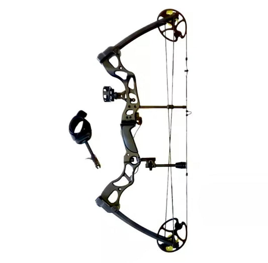 ARCO COMPOUND FOSSIL